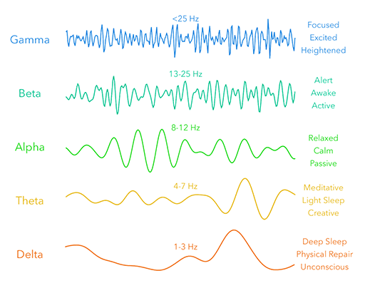 Brain frequencies